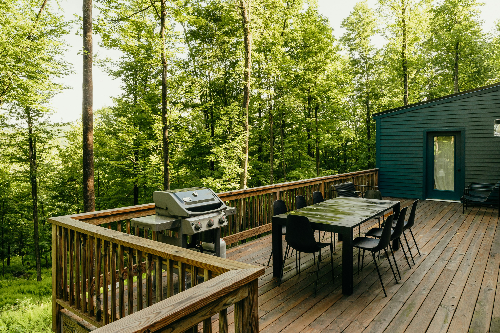 Deck & Fence Staining